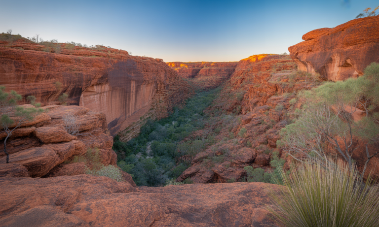 découvrez l'incroyable kings canyon, un joyau naturel du centre rouge australien, célèbre pour ses paysages spectaculaires, ses formations géologiques uniques et ses sentiers de randonnée inoubliables.